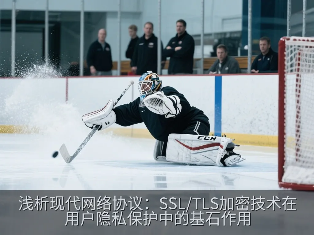 浅析现代网络协议：SSL/TLS加密技术在用户隐私保护中的基石作用